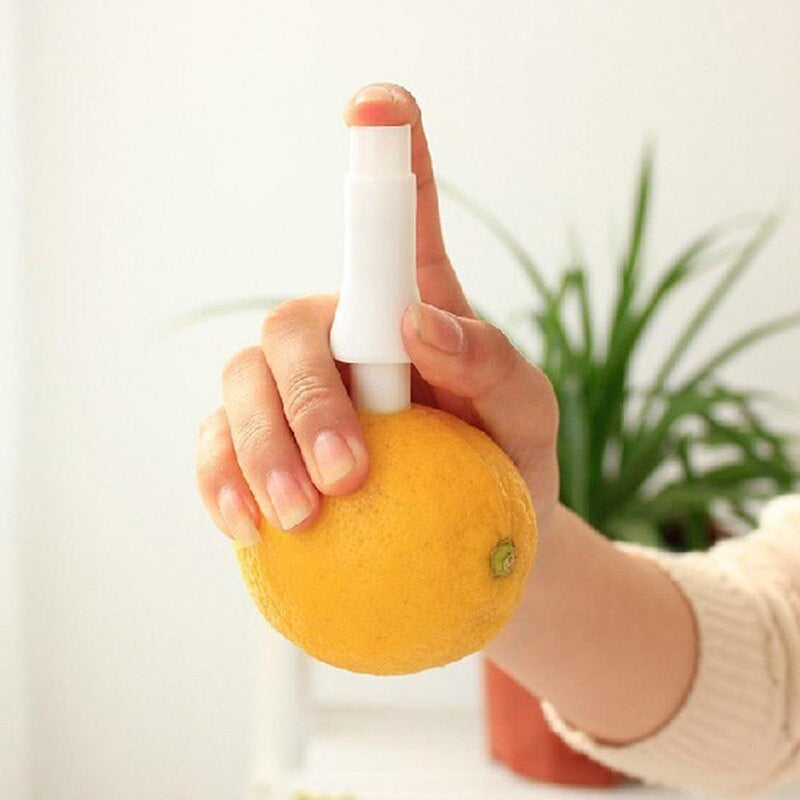 CDSP - Pulverizador e Borrifador Spray para Frutas e Tempero